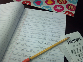 Spanish homework with Flo...